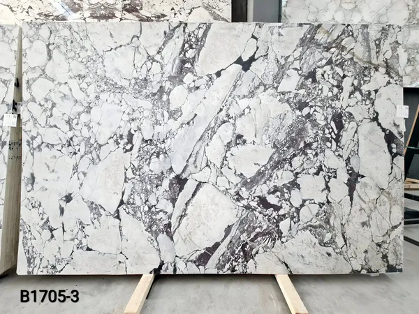 Calacatta Viola Honed Marble