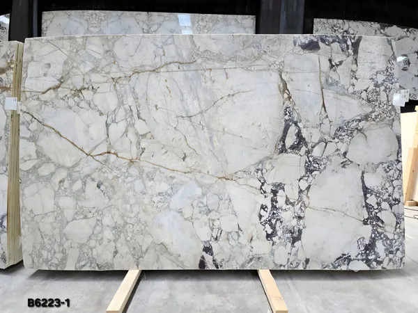 Calacatta Viola Honed Marble
