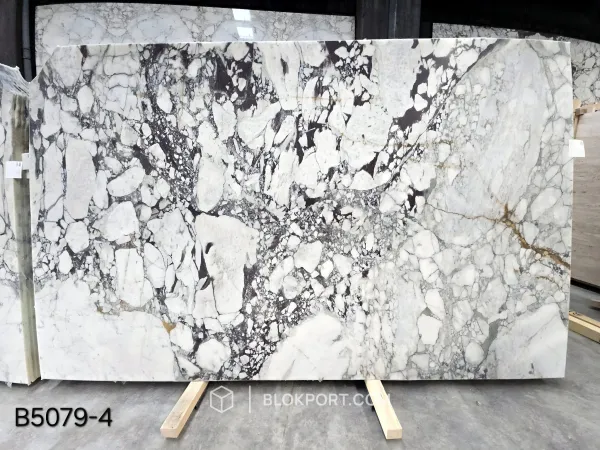Calacatta Viola Honed Marble