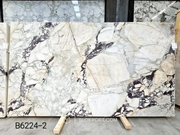 Calacatta Viola Honed Marble