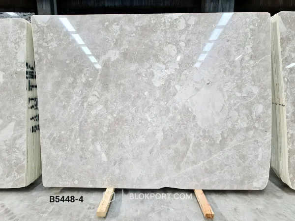 Active Beige Polished Marble