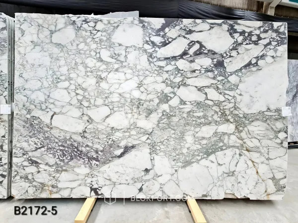 Calacatta Viola Honed Marble