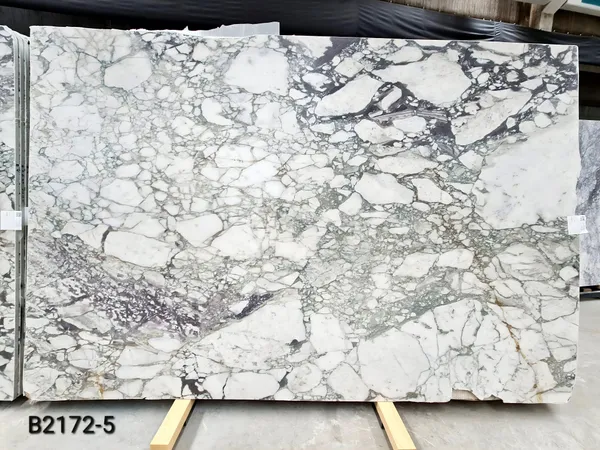 Calacatta Viola Honed Marble
